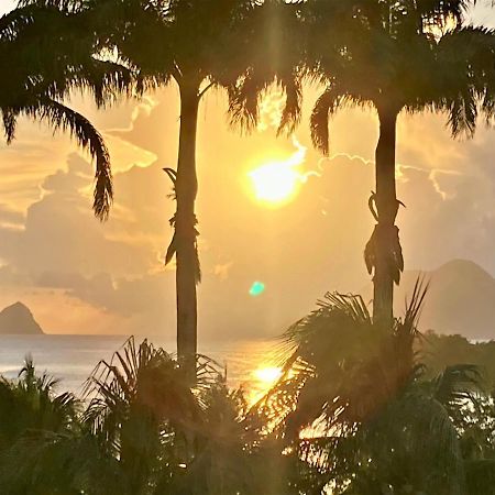 Superbe Studio Martinique Vue Rocher Du Diamant Sainte-Luce Exterior foto